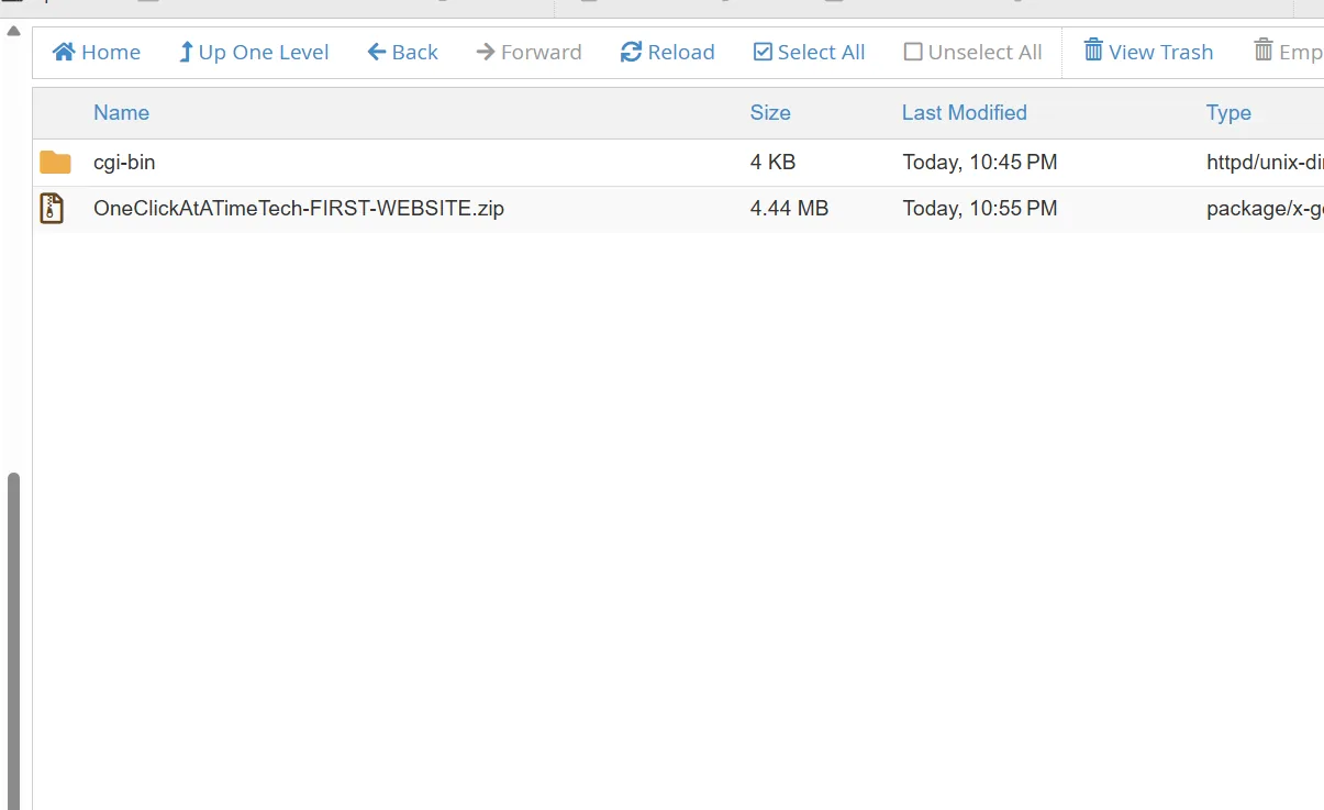 cPanel File Manager showing the first website ZIP uploaded into the new domain folder
